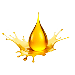 Oil Change Service